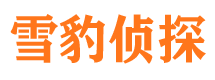 大名市调查公司